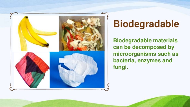 biodegradable material info